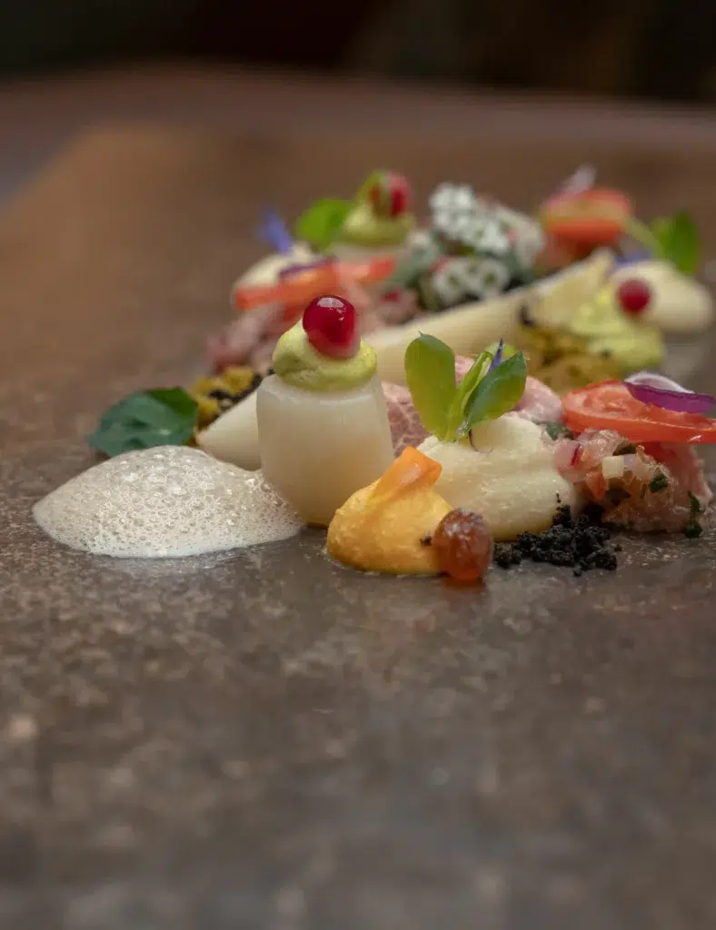 Ein Gourmet-Restaurantgericht mit farbenfrohen Garnituren, Schaum, Kräutern und kunstvoller Anrichtung.